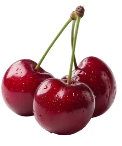 Acerola Cherry wholesale food ingredient