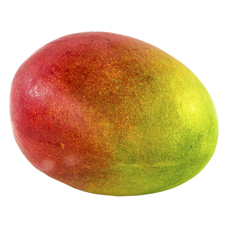 Mango wholesale food ingredient