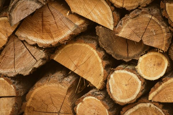 hard wood, global trade, hard wood export, K&B Sync