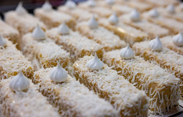 Desiccated Coconut, global trade, Desiccated coconut export, K&B Sync