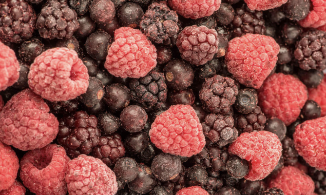 IQF Fruit, IQF fruit export, K&B Sync, whole sale, global trade