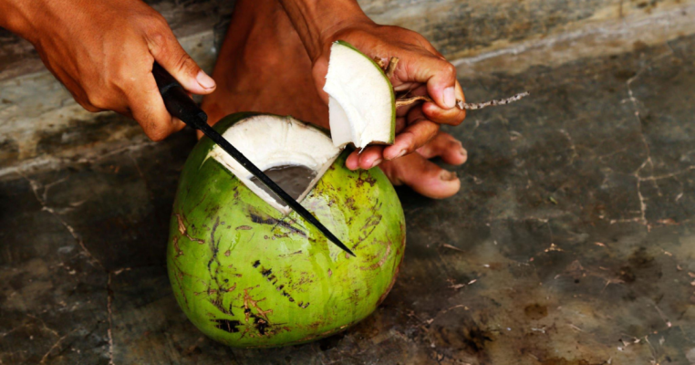 Coconut water, global trade, coconut water export, K&B Sync