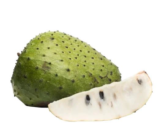 Soursop wholesale food ingredient