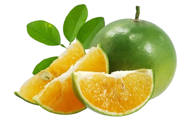 Calamansi wholesale food ingredient