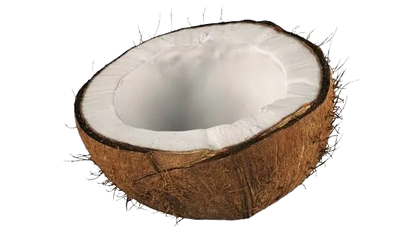 Coconut wholesale food ingredient