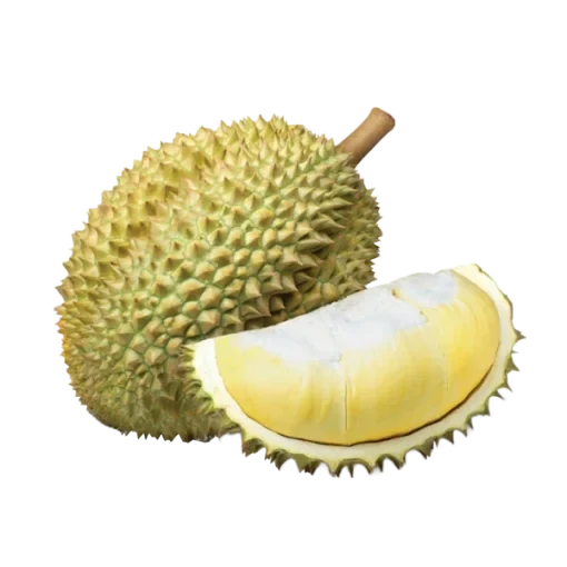 Durian wholesale food ingredient