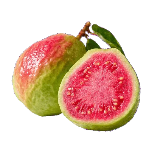 Guava wholesale food ingredient