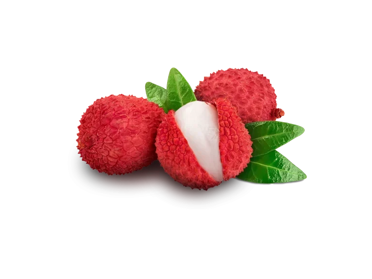 Lychee wholesale food ingredient